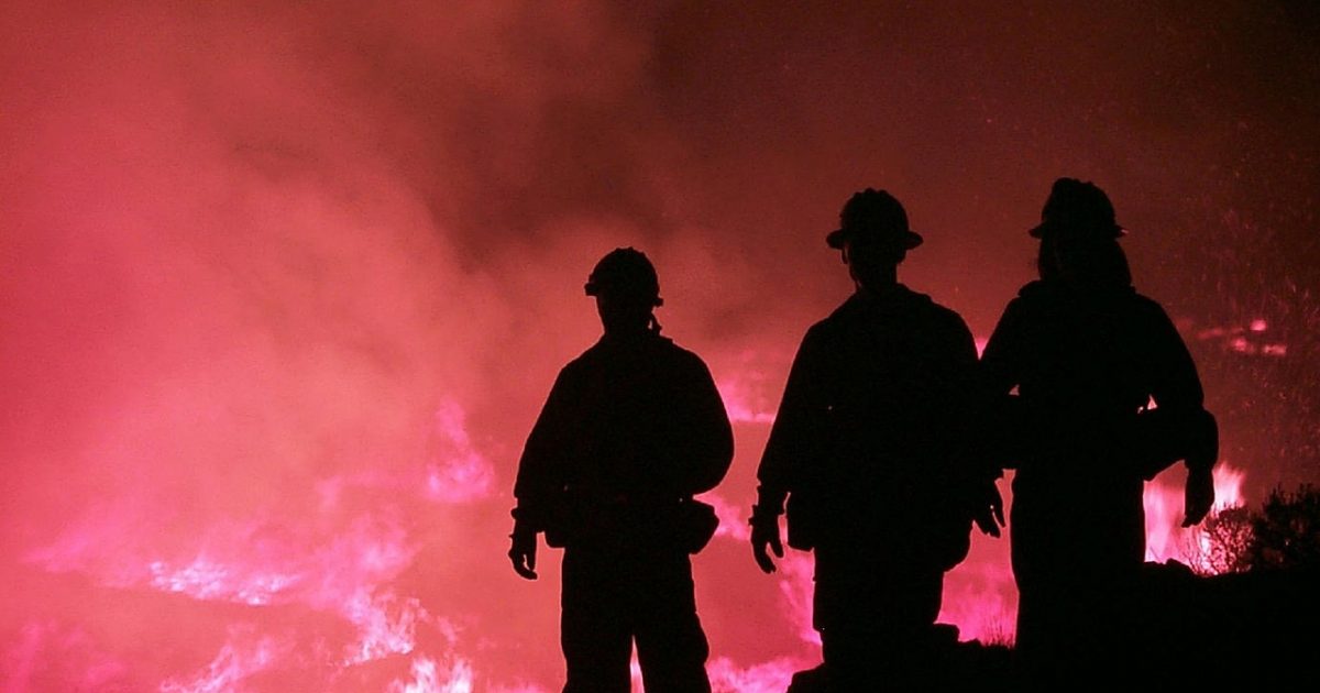 Roberto Cidade quer a contratação temporária de brigadistas civis