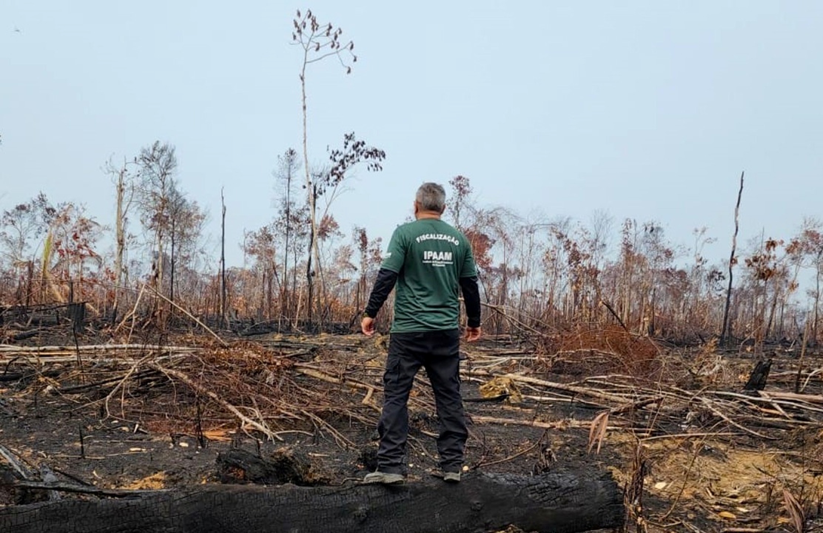 Fiscalização contra queimadas e desmatamento é intensificada no Amazonas