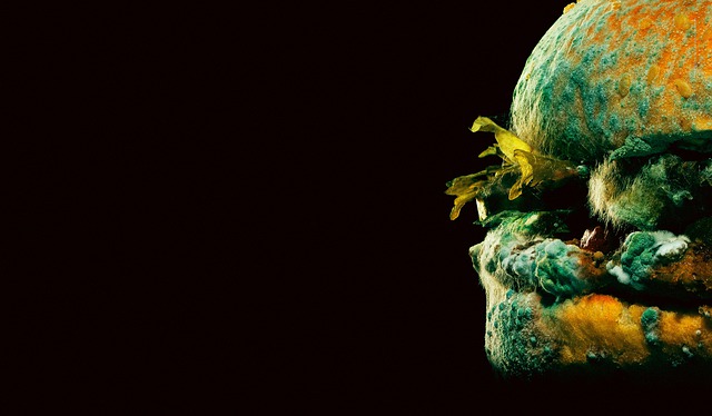 Jovens comem carne podre para ficarem 'chapados' em desafio na internet