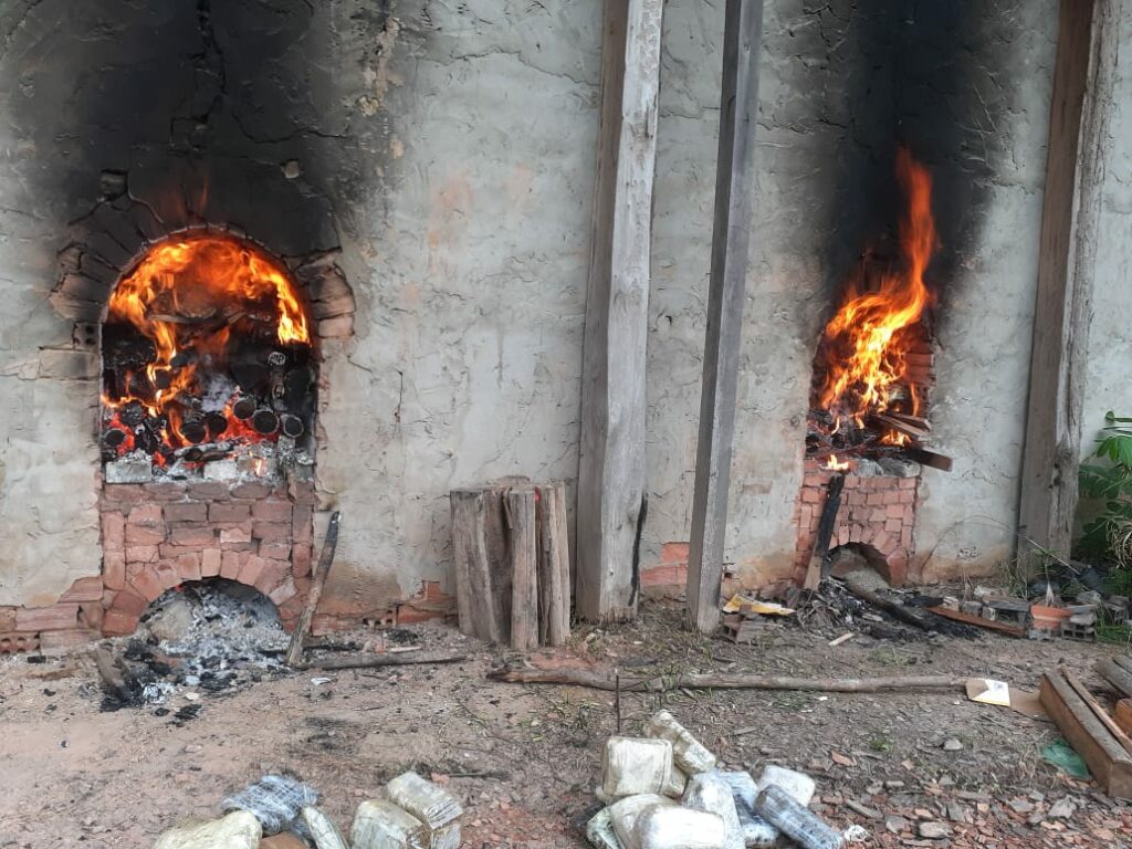 Cerca de 80kg de maconha escondidos em açaí são incinerados no Amazonas