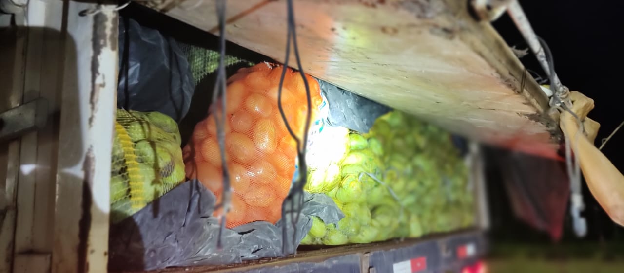 Sete toneladas de frutos com entrada proibida no Amazonas são apreendidas