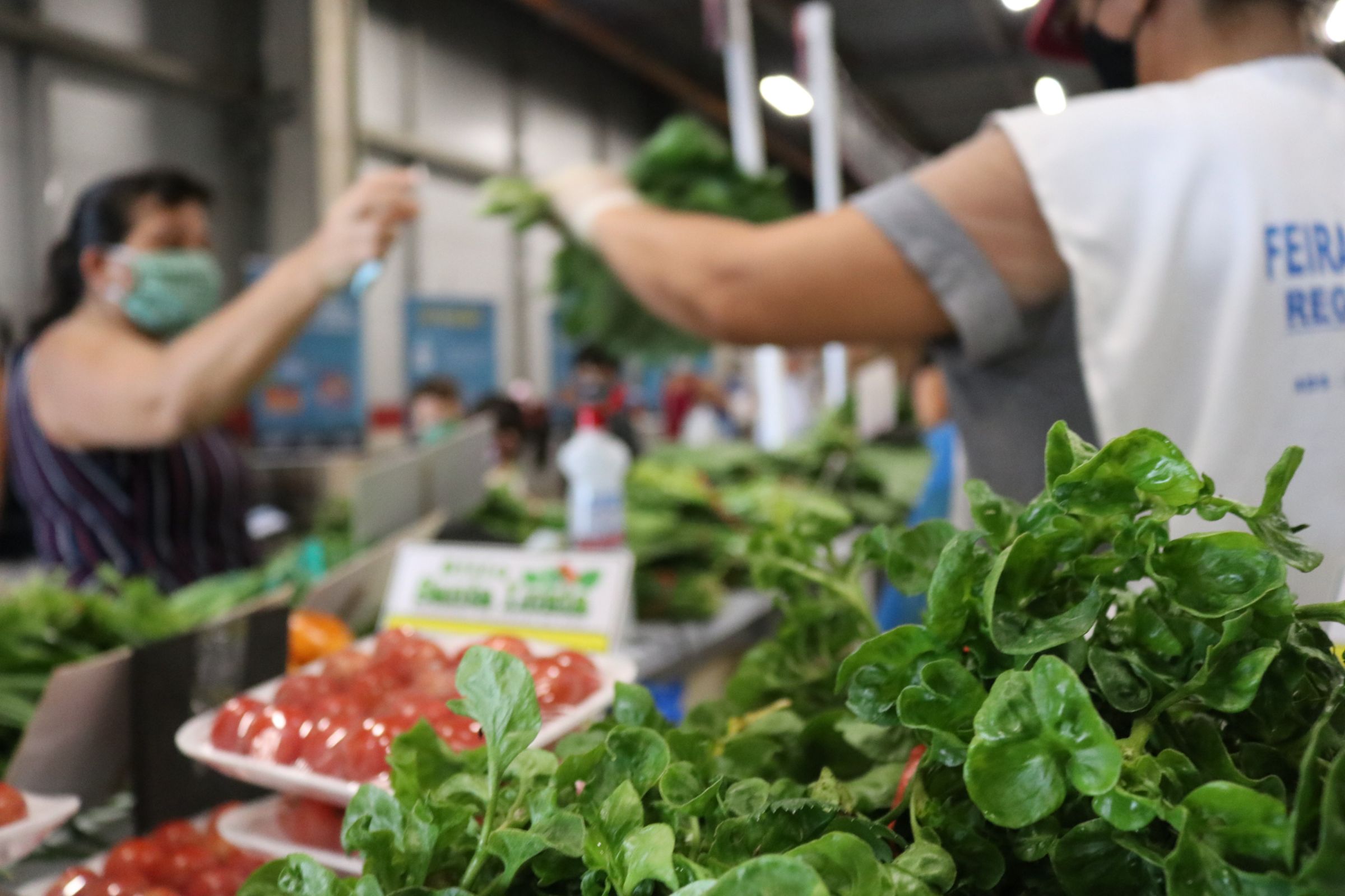 Feiras regionais da ADS retornam na próxima semana em Manaus