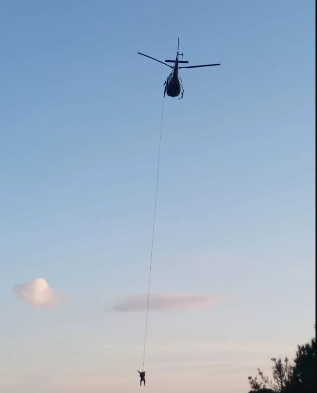 Cão de caça despenca por 50 metros em cânion e é resgatado com vida