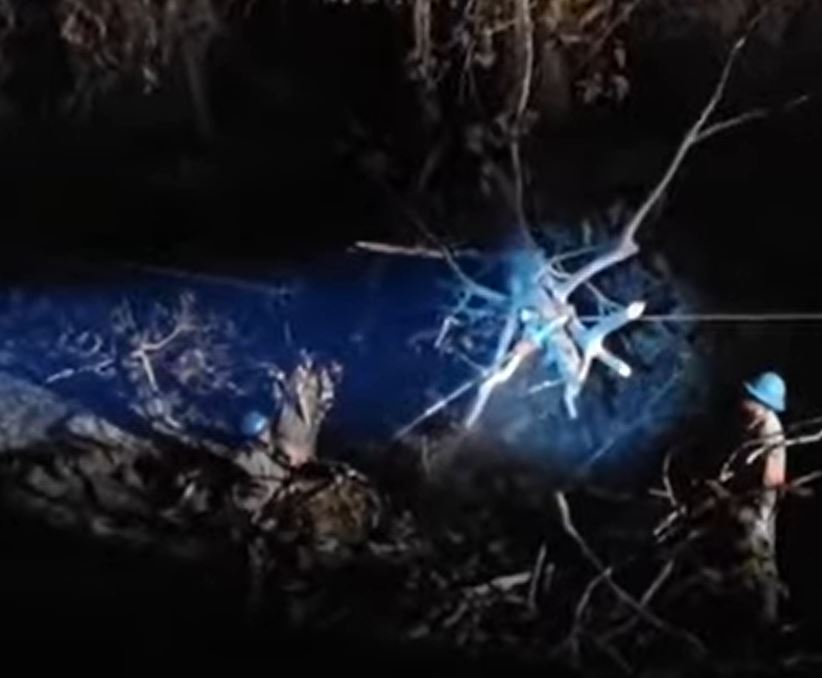 Manacapuru sofre apagão de quase oito horas após árvore tombar sobre linhão