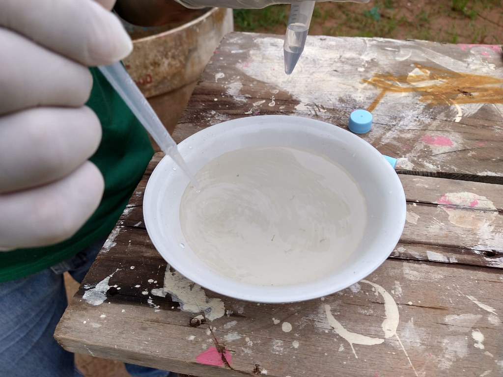 FVS investiga casos de febre Chikungunya em Tefé