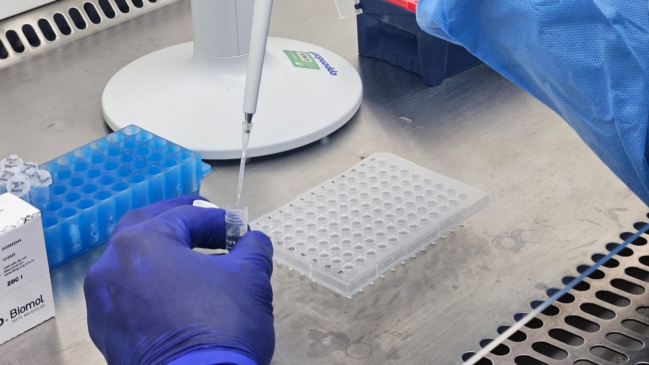 SRAG: Amazonas acumula 31 óbitos e 529 casos de vírus respiratórios em 2025