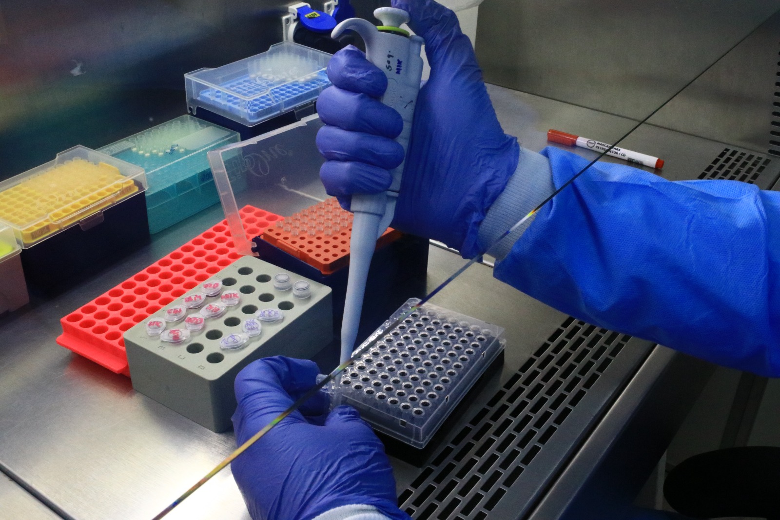 Amazonas tem 18 casos confirmados de Mpox