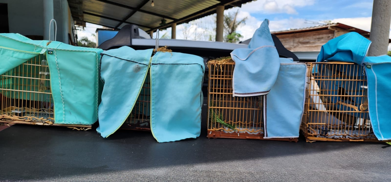 Três pessoas são multadas por captura ilegal de aves em Iranduba