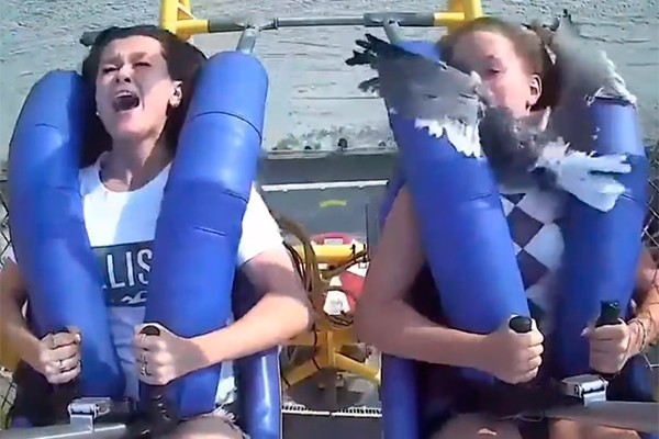 Vídeo: Adolescente é atingida por gaivota em brinquedo de parque nos EUA 