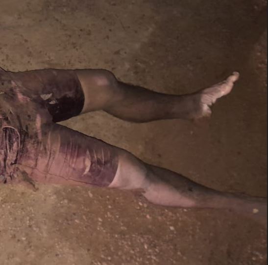 Crivado de balas, homem é jogado de carro em ramal na AM-070
