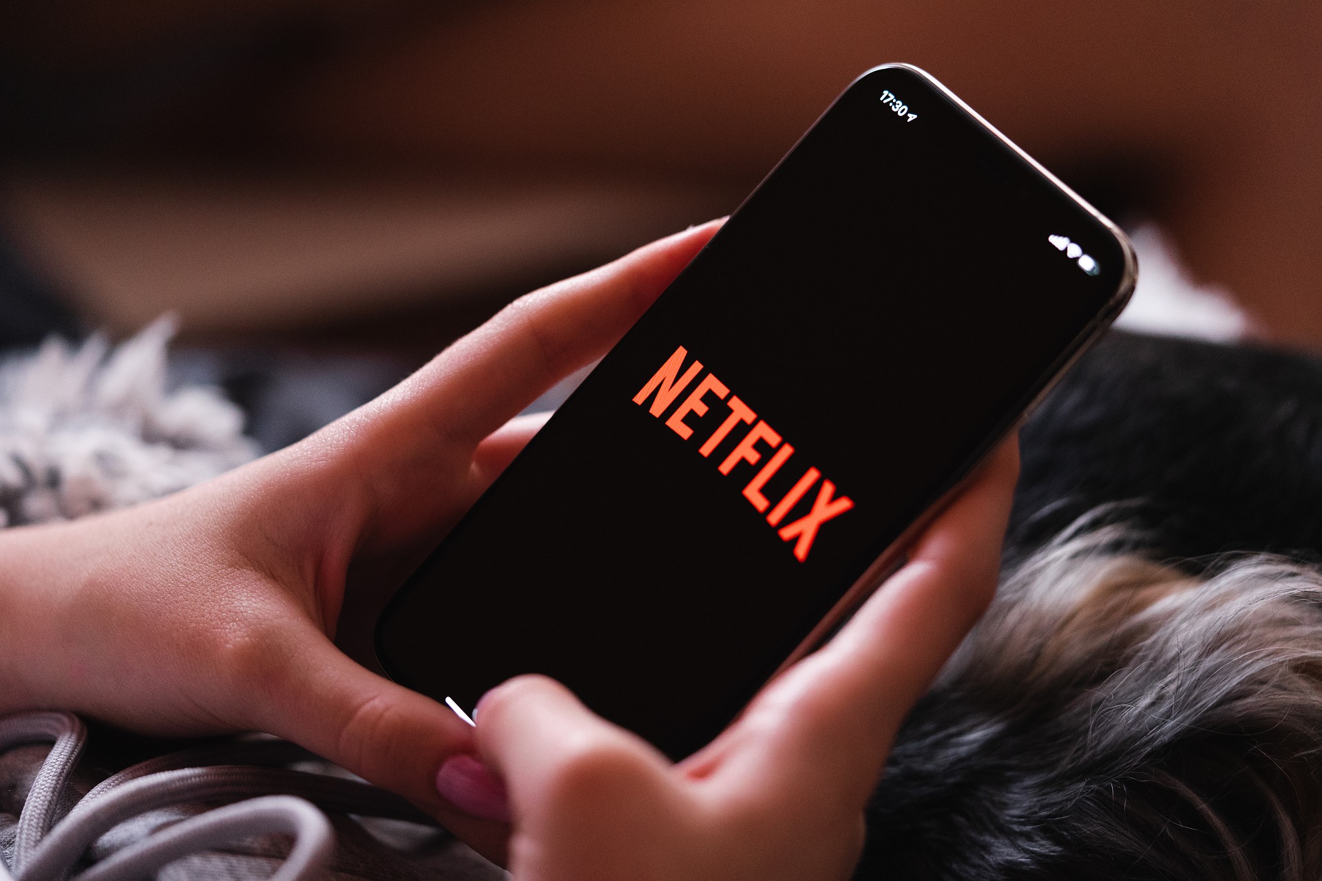 Netflix demite funcionários de projeto anunciado em dezembro