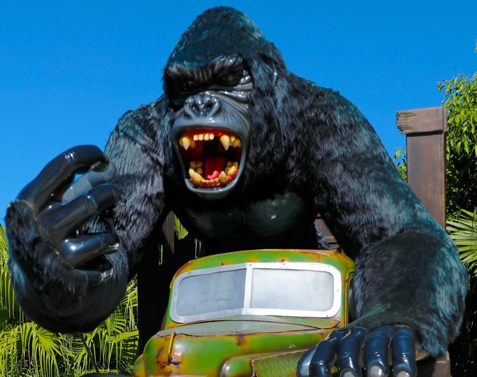 Menino que caiu de gorila no Beto Carrero deve ter alta amanhã