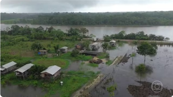 Rio Purus invade plantações e força colheita às pressas no Amazonas