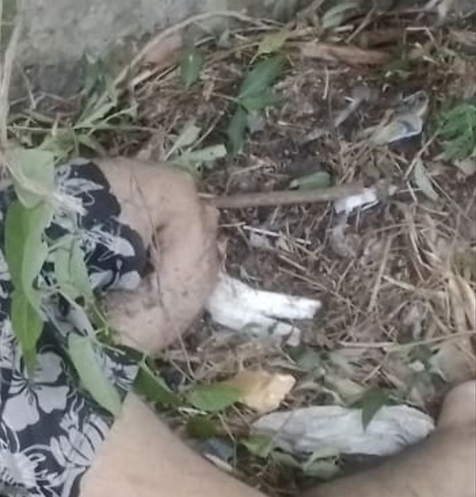 Jovem morre ao colidir com ônibus enquanto pilotava moto na contramão 