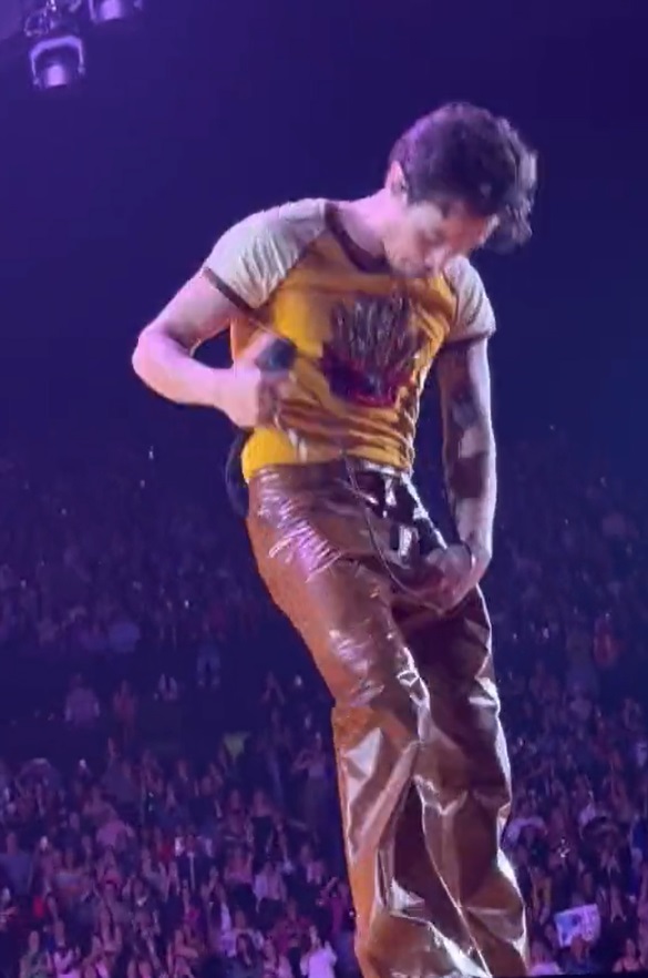 Harry Styles se 'empolga' em show e leva fãs ao delírio ao rasgar as calças; veja vídeo