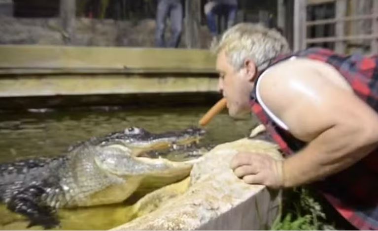 Homem fica famoso ao alimentar jacarés 'boca a boca'