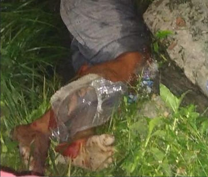 Homem é executado a tiros e agoniza até morrer em rua de Manaus