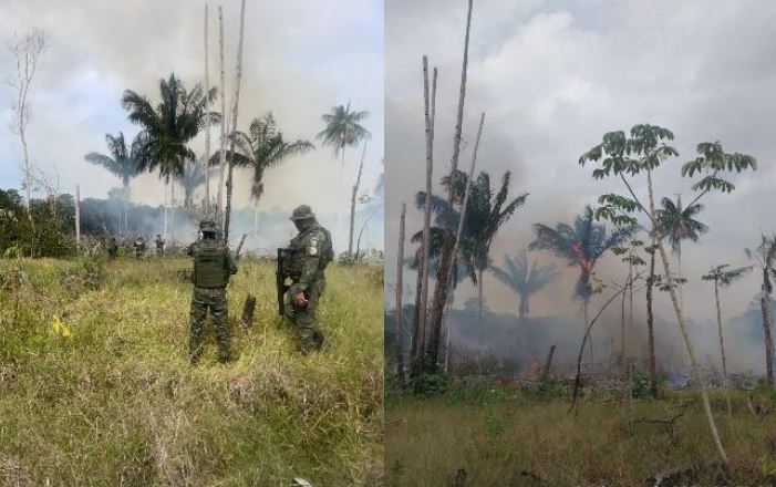 Homem é preso ao ser flagrado ateando fogo em mata no Manaquiri