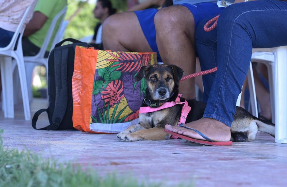 Castramóvel abre agendamento presencial na Zona Norte de Manaus