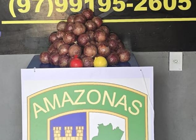Criminosos escondem 16 kg de drogas em cebolas falsas no Amazonas 