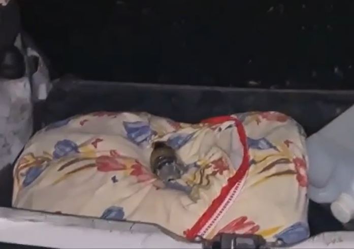 Criminosos são presos com fuzil e granada enquanto iam matar rivais no Santa Etelvina