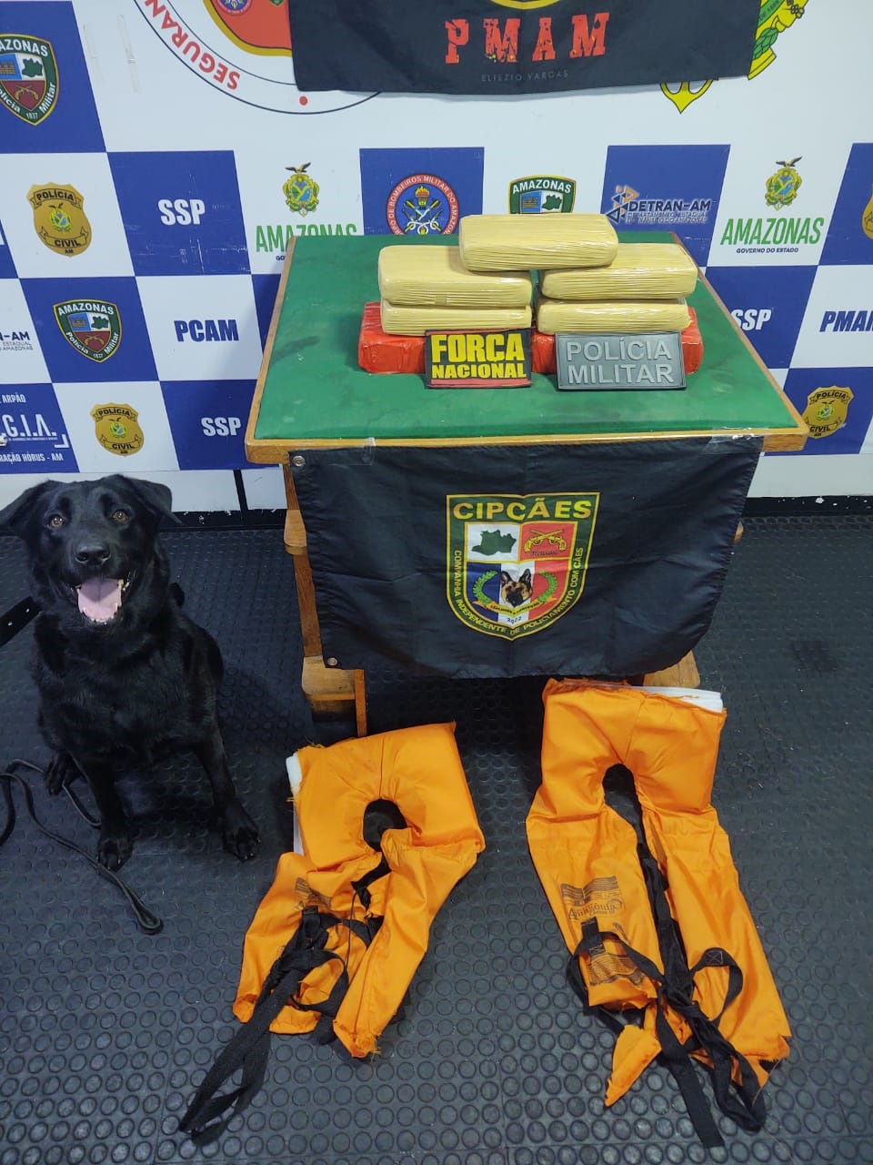 Drogas avaliadas em R$ 310 mil são achadas em coletes de barco no Amazonas