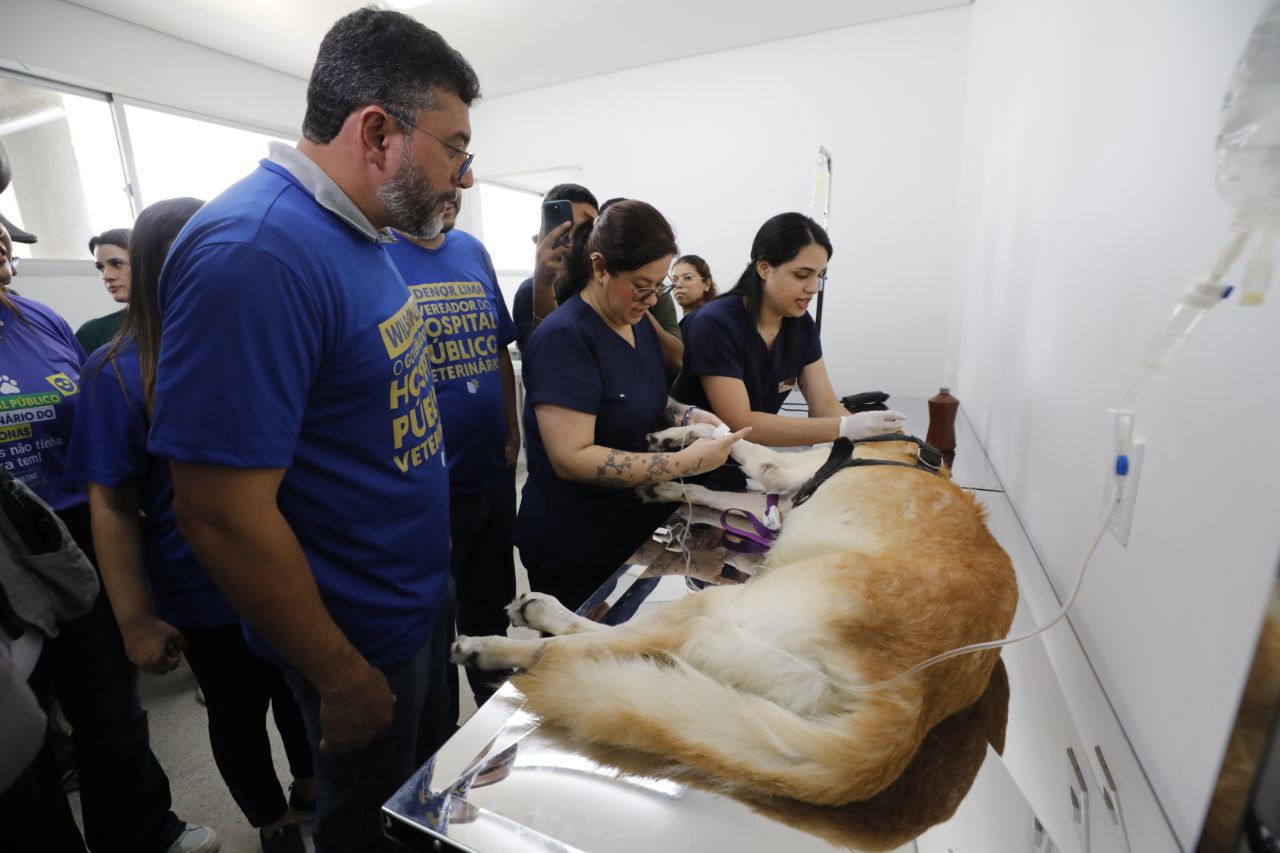 Hospital público veterinário de Manaus começa a funcionar neste sábado