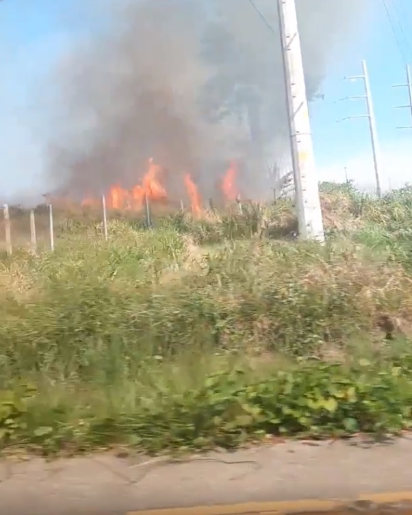 Vegetação pega fogo na Avenida das Torres e fumaça atrapalha trânsito