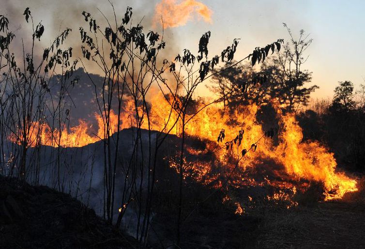 Nova lei estabelece diretrizes para uso de fogo nas áreas rurais do País