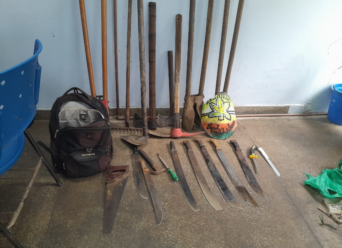 Cinco homens são presos por desmatamento e queimada ilegal em Parintins 