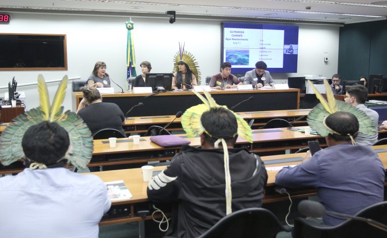  Pesquisa aponta contaminação por agrotóxicos em áreas indígenas no País 