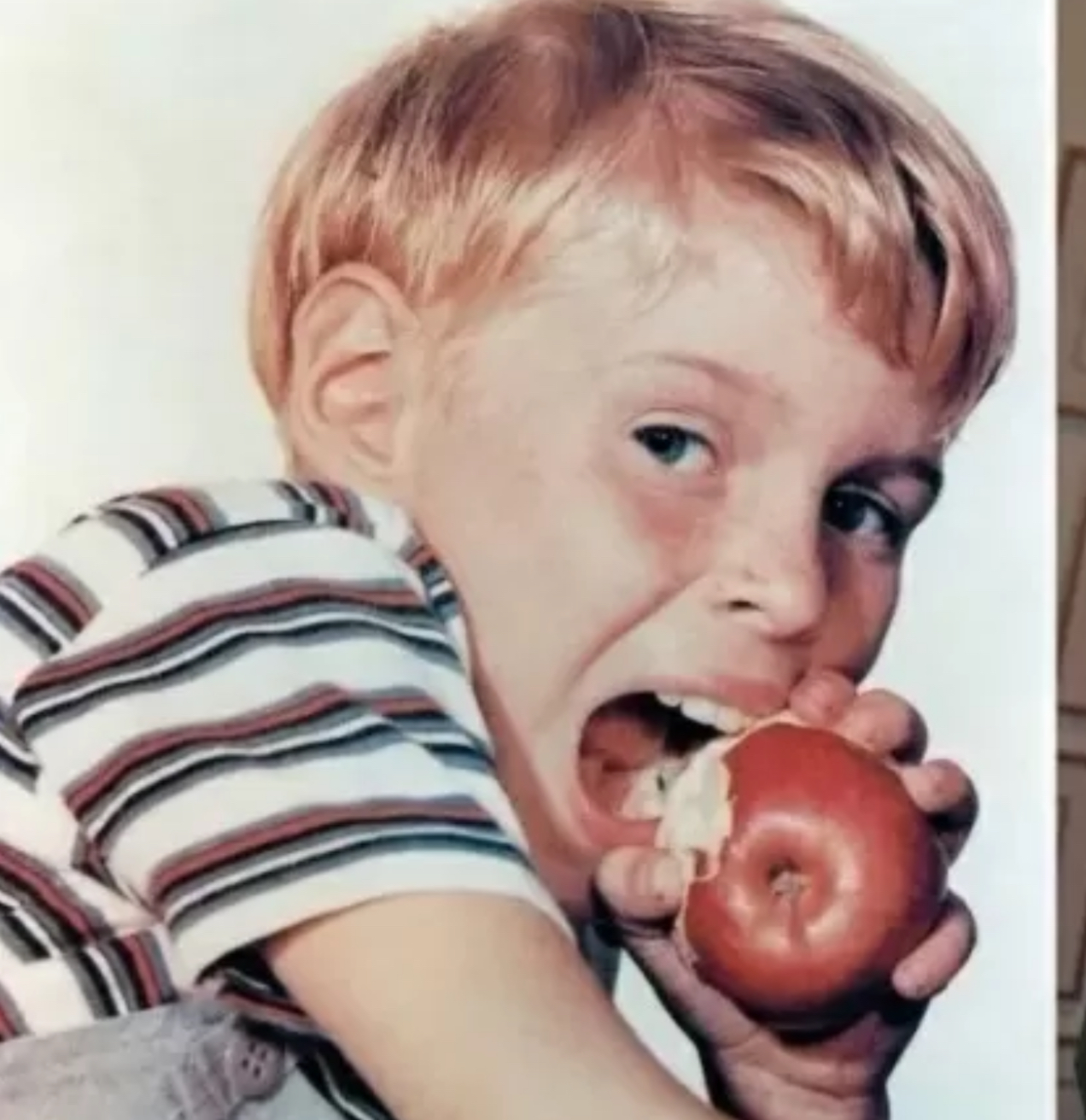 Morre ator Jay North, estrela de ‘Dennis, o Pimentinha’