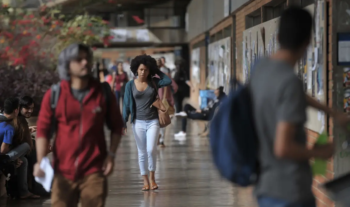 MEC ofertará 80 mil bolsas a estudantes de cursos de licenciatura