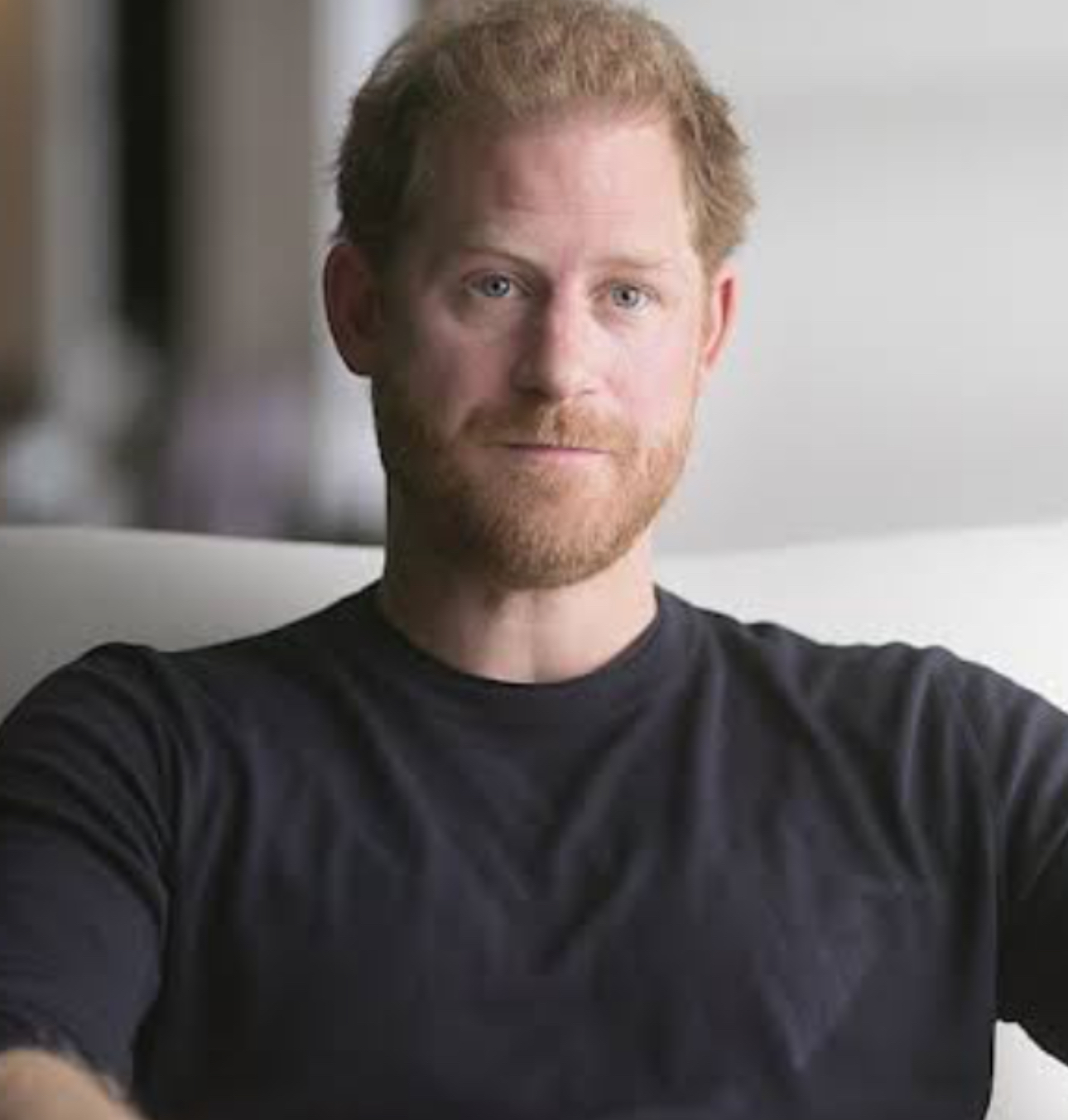 Príncipe Harry é inocentado de acusação de intimidação em ONG