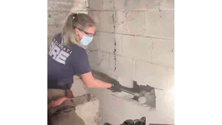 Cadela desaparecida há dias estava presa atrás da parede