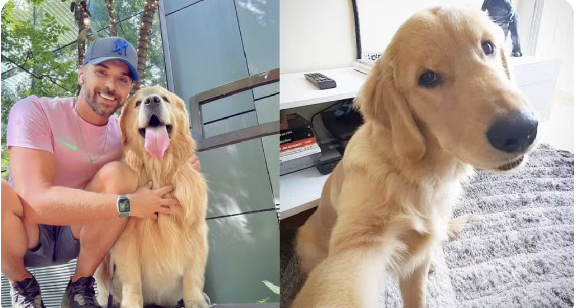 Justiça arquiva inquérito que investigava morte do cão Joca