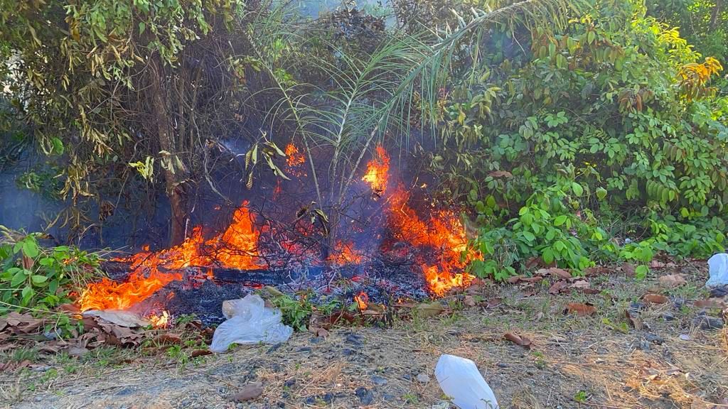 Em 48h, mais de 20 incêndios em vegetação são registrados em Manaus
