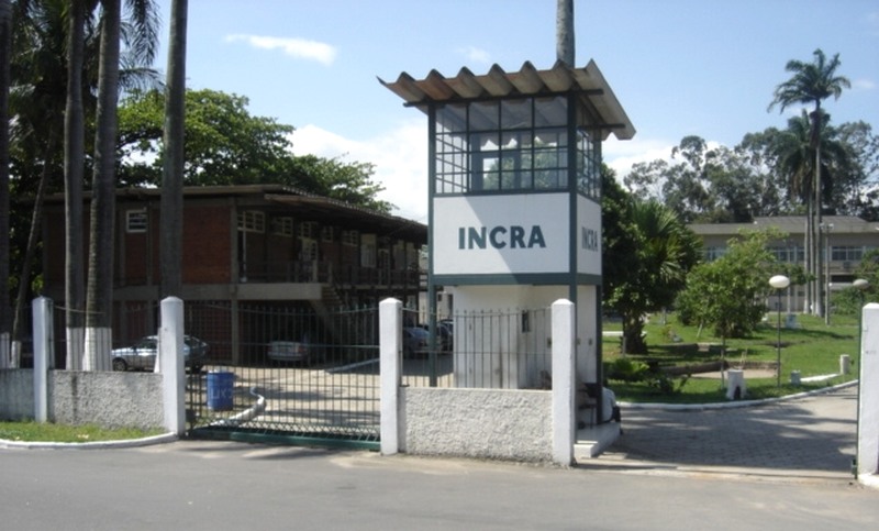 Incra autoriza criação de três assentamentos no Amazonas; veja