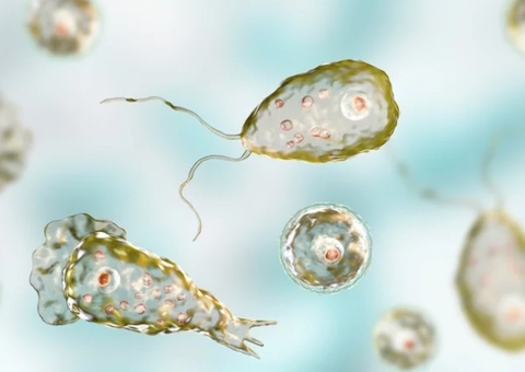 Ameba comedora de cérebro é achada em água que abastece 8 cidades do Texas