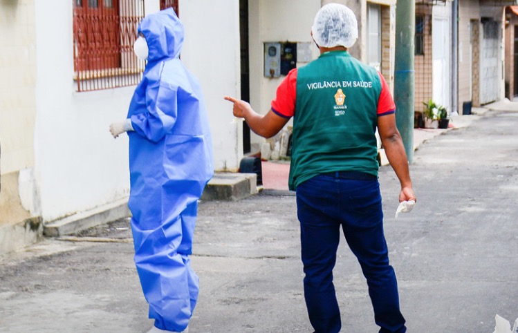 Manaus tem 22 casos suspeitos de esporotricose e humanos relatam sintomas