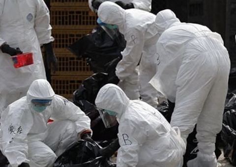 Gripe aviária se espalha por diversas regiões no Japão