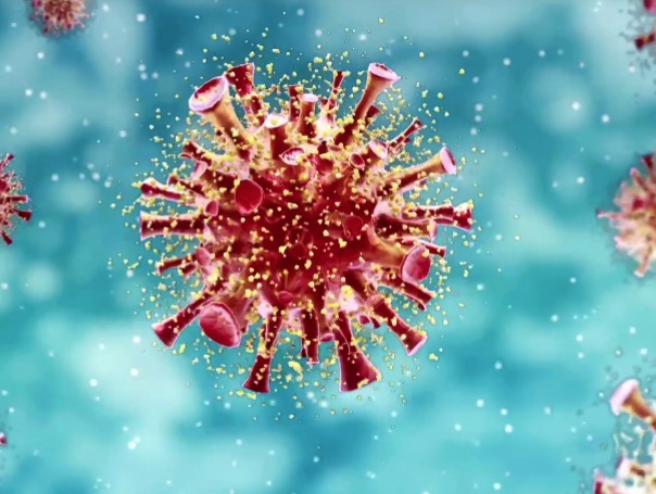 Estados Unidos confirma 1º caso de nova variante do coronavírus