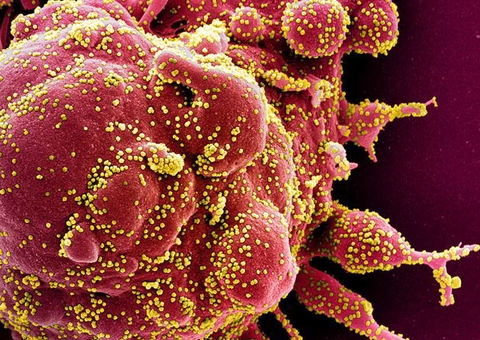 Países proíbem voos do Reino Unido após casos de mutação do coronavírus