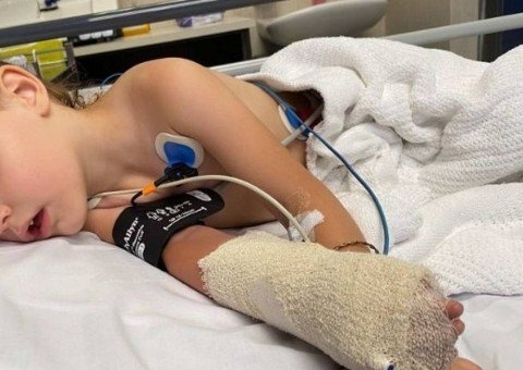 Avó salva neta de 3 anos que foi picada por cobra venenosa