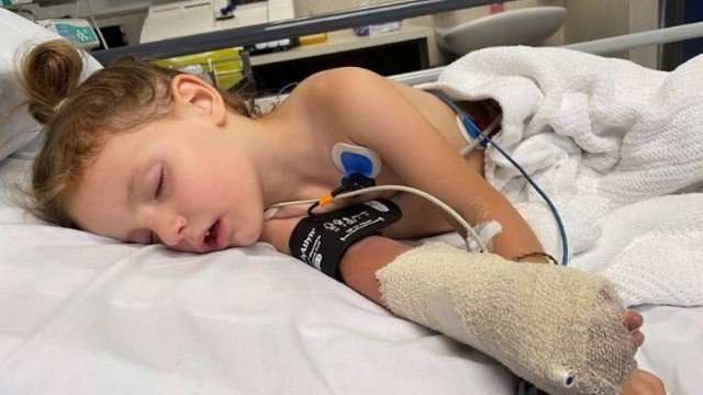 Avó salva neta de 3 anos que foi picada por cobra venenosa