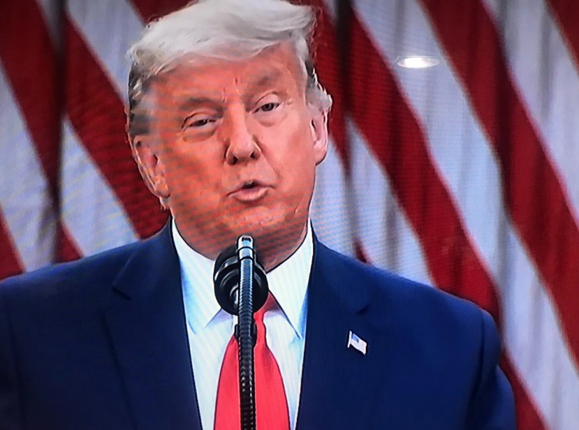 Trump fala publicamente pela 1ª vez após vitória de Biden nos EUA