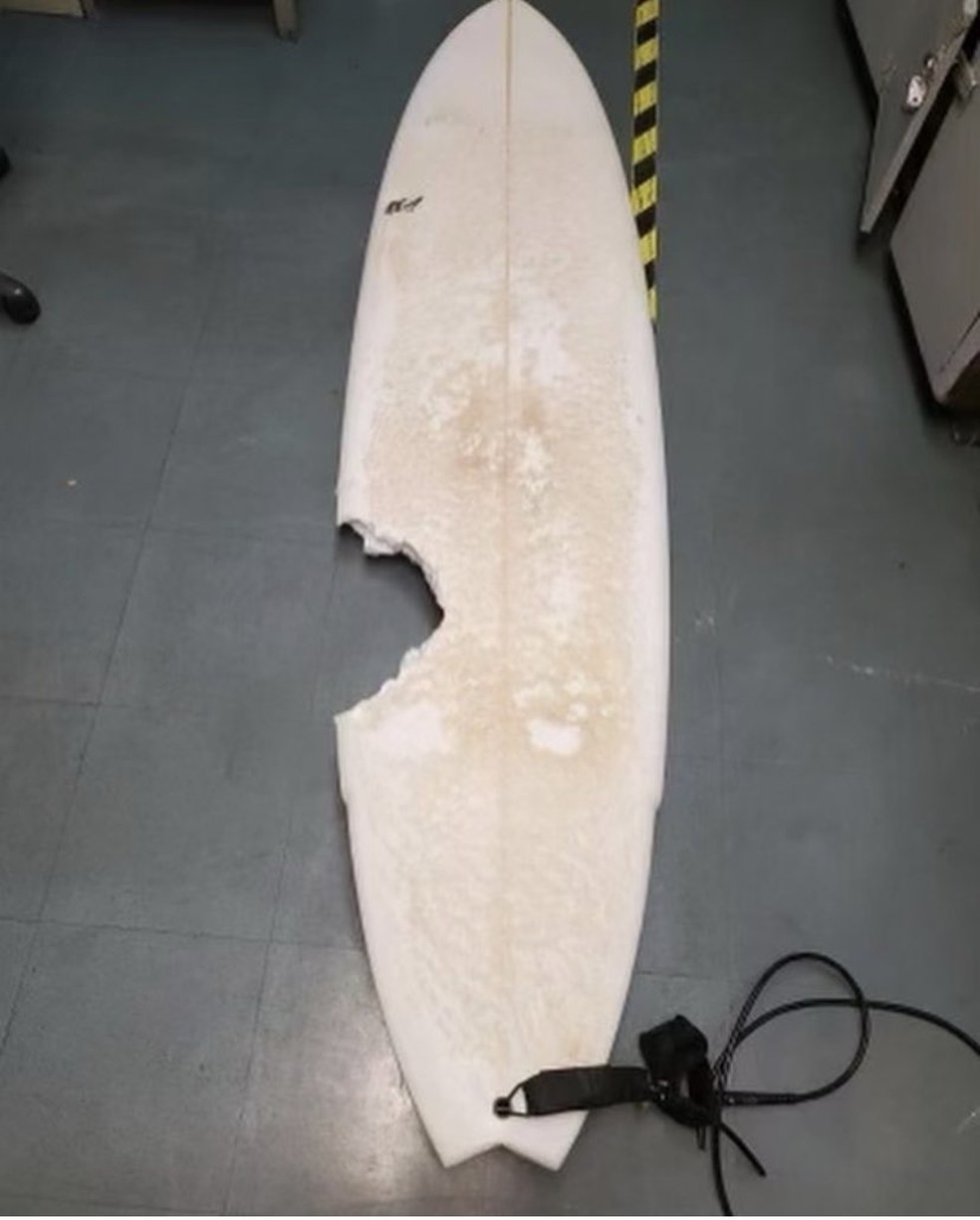 Surfista amador atacado por tubarão morre no Havaí