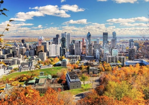 Quer trabalhar no Canadá? País oferece vagas de emprego para T.I