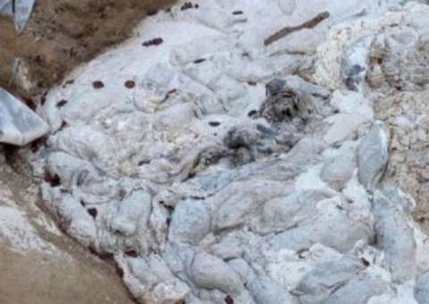 Água na Dinamarca pode ter sido contaminada após enterro de visions