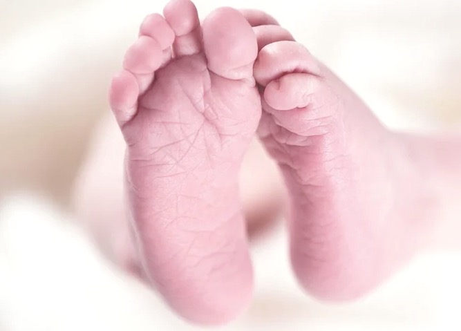 Pesquisa: Bebês de mães com coronavírus têm anticorpos